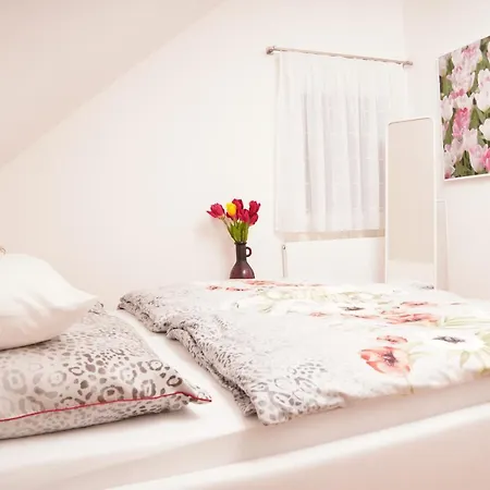 Gemuetliche In 公寓 *